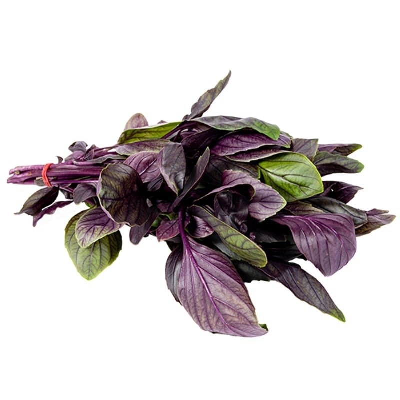 Red Basil (Bunch)