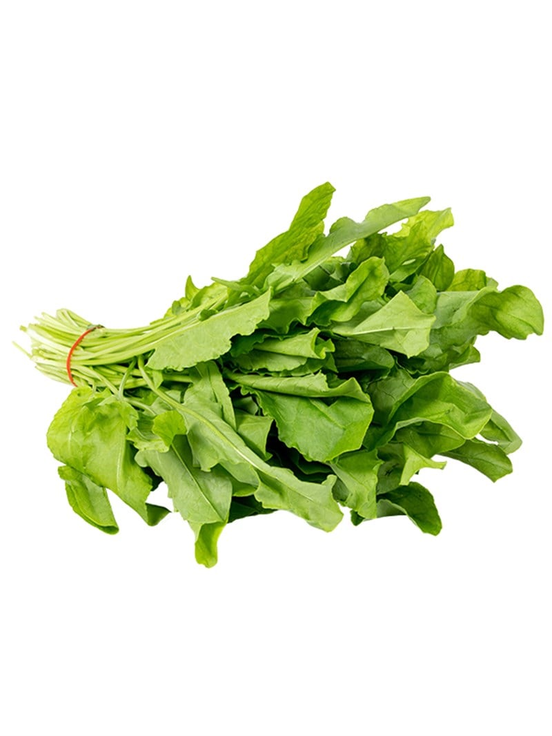 Sorrel (Bundle)