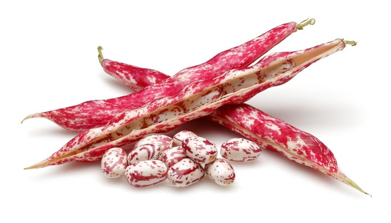 GreenadaBarbunya 1 Kg
