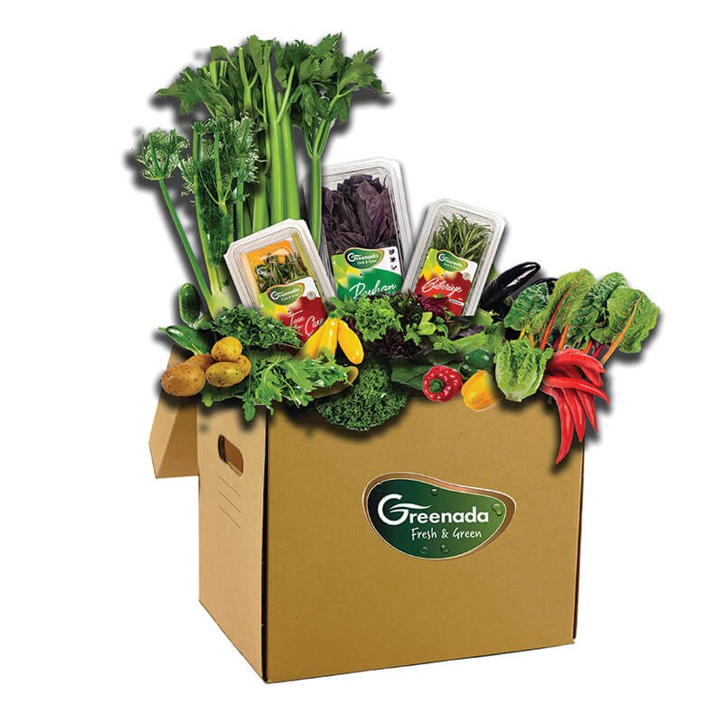 GreenadaCelery 21 (Kampanya Kolisi)