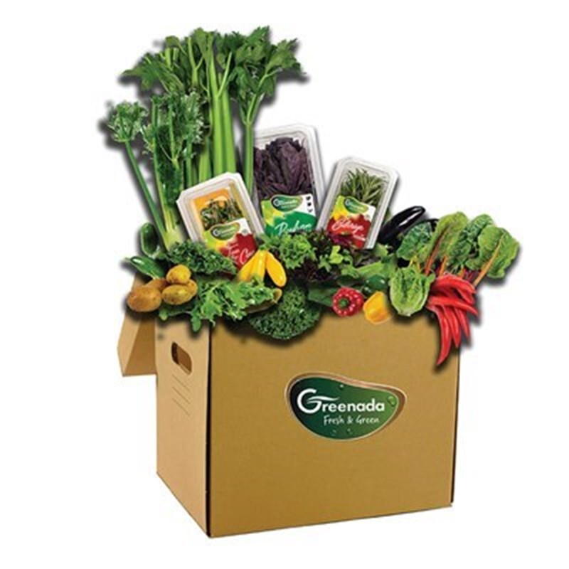 GreenadaCelery 21 (Kampanya Kolisi)