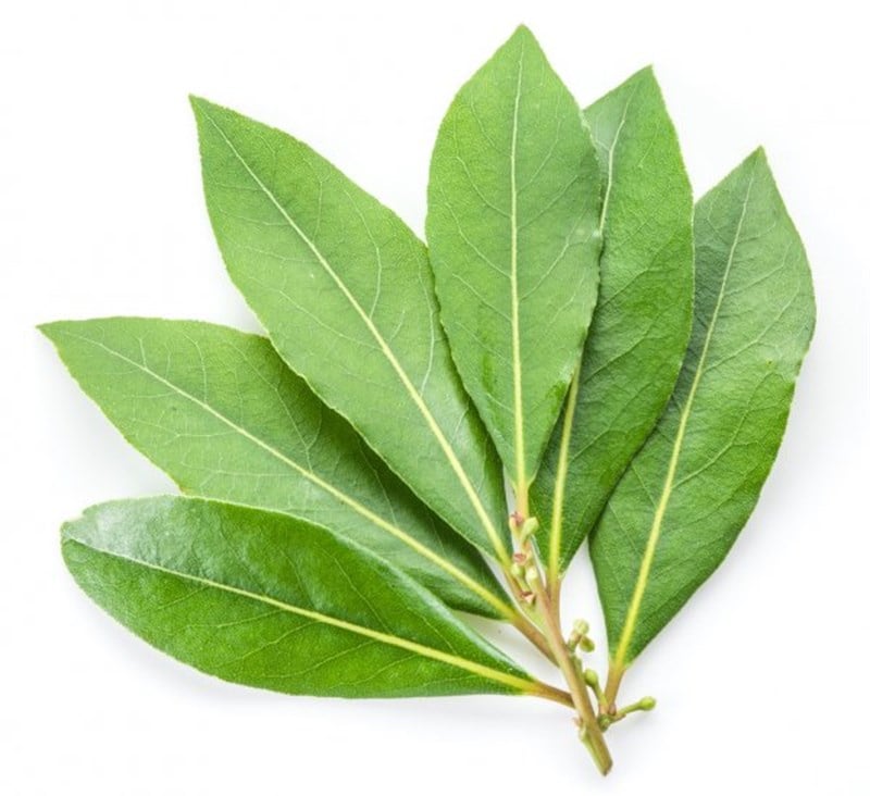 GreenadaDefne Yaprağı 50 g