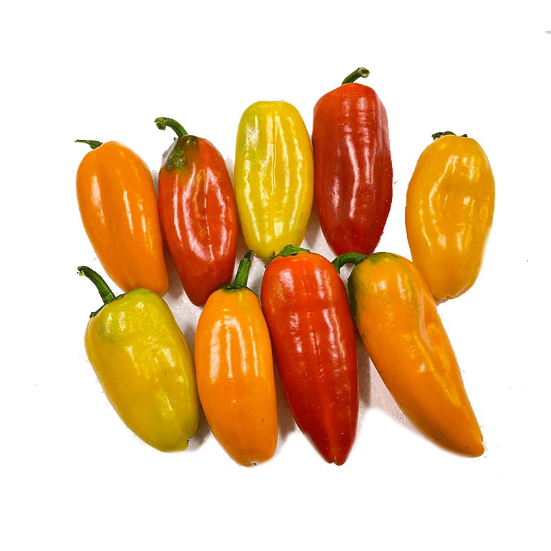 GreenadaGökkuşağı Mini Atıştırmalık Biber 500 g