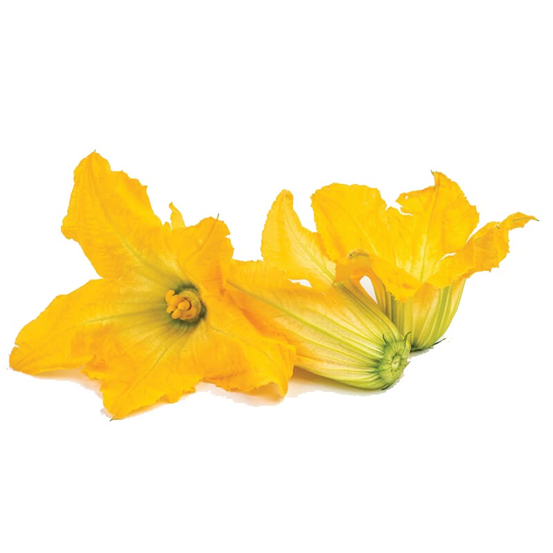 Kabak Çiçeği Satışı - Greenada Kabak Çiçeği Yenilebilir Çiçek