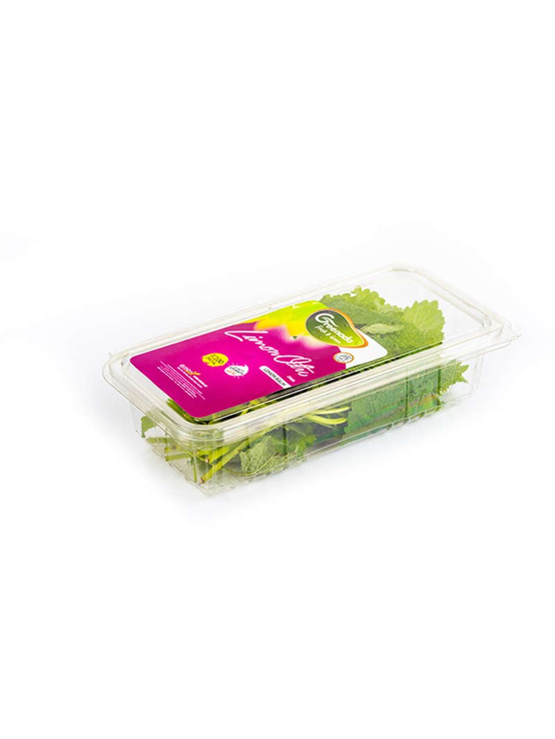 Lemon Balm Melissa 25 g