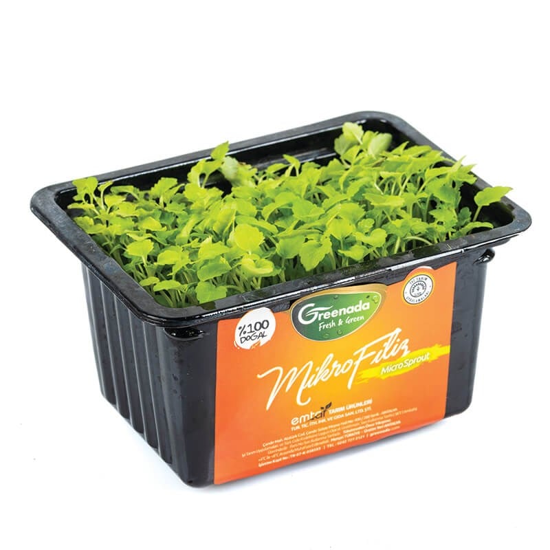 Parsley Micro Sprouts