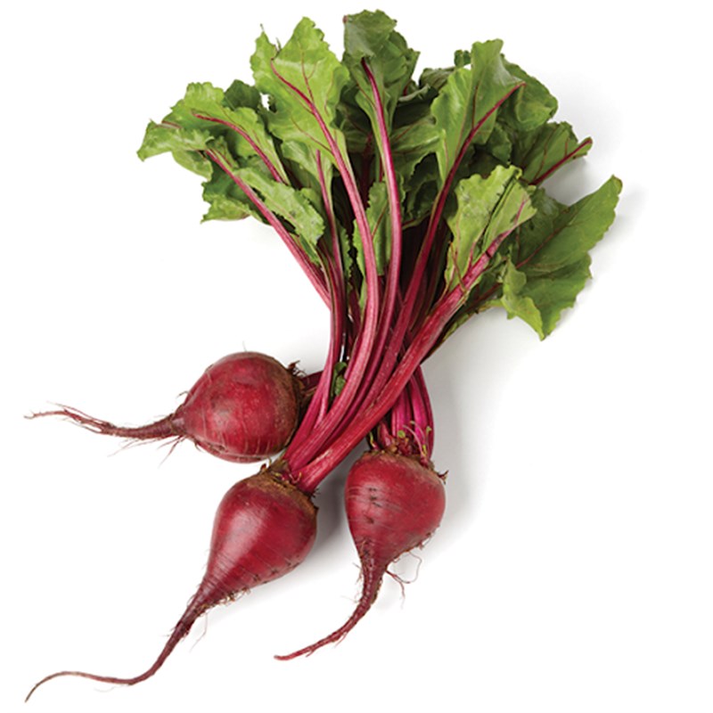 GreenadaMini Pancar (Baby Beet)