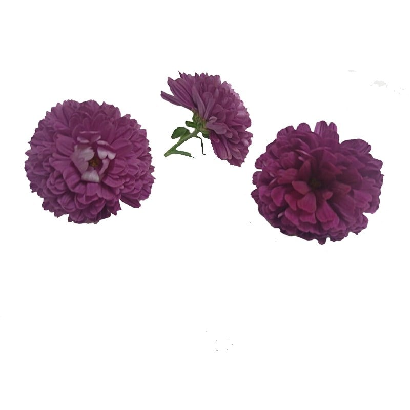 GreenadaMor Krizantem Paket