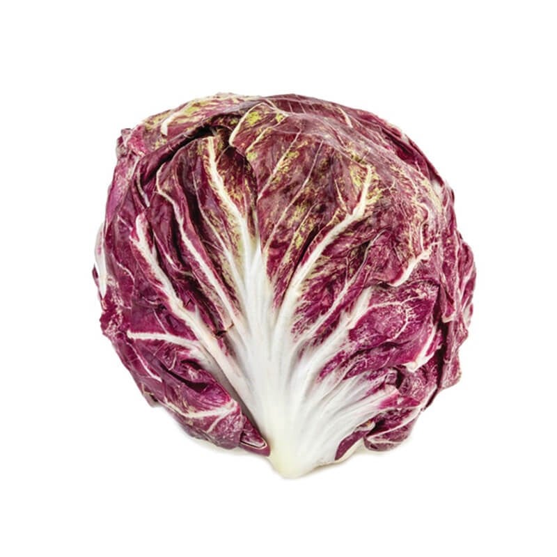 GreenadaPolorosso (Radicchio)