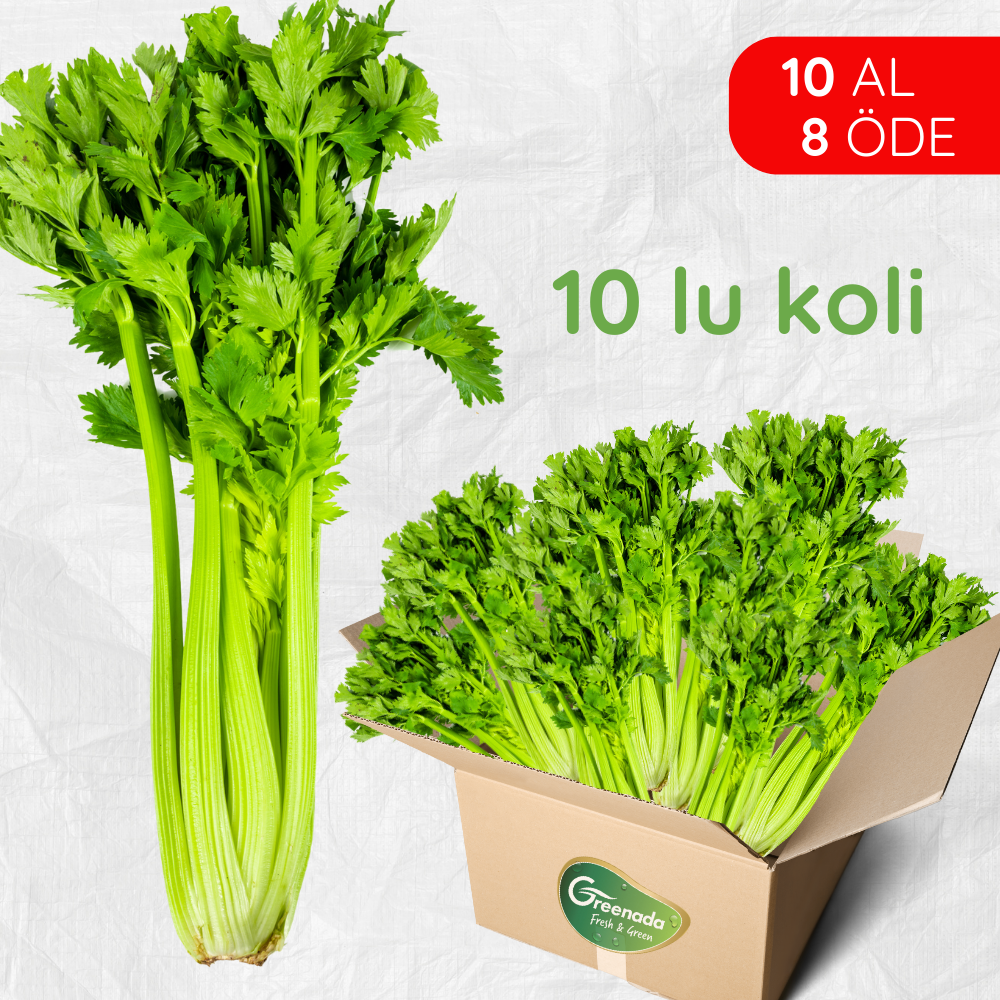 GreenadaSap Kereviz 10 lu Koli