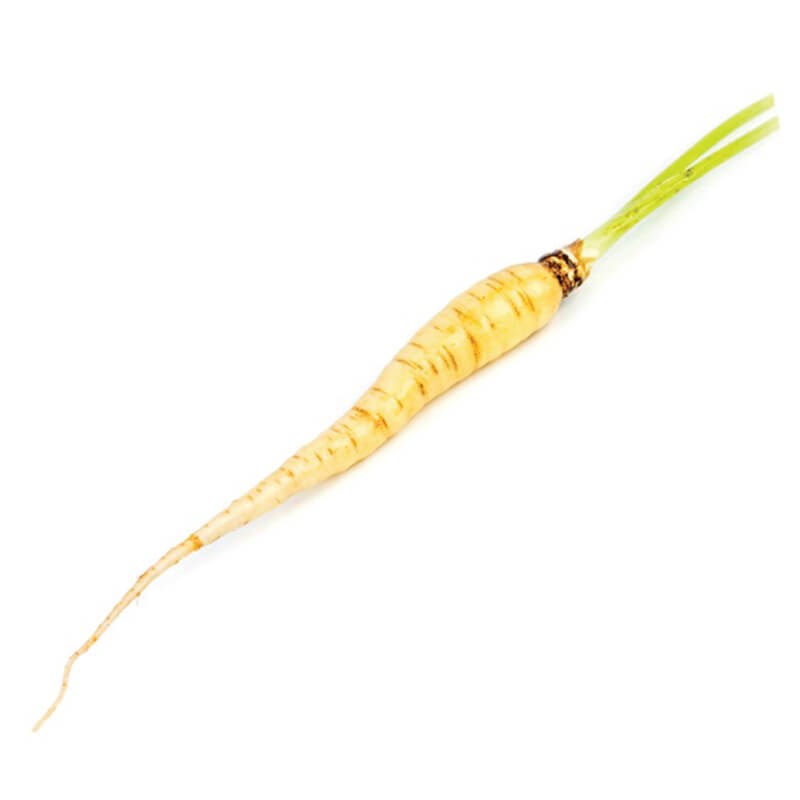 GreenadaYabani Beyaz Havuç (White Carrot)