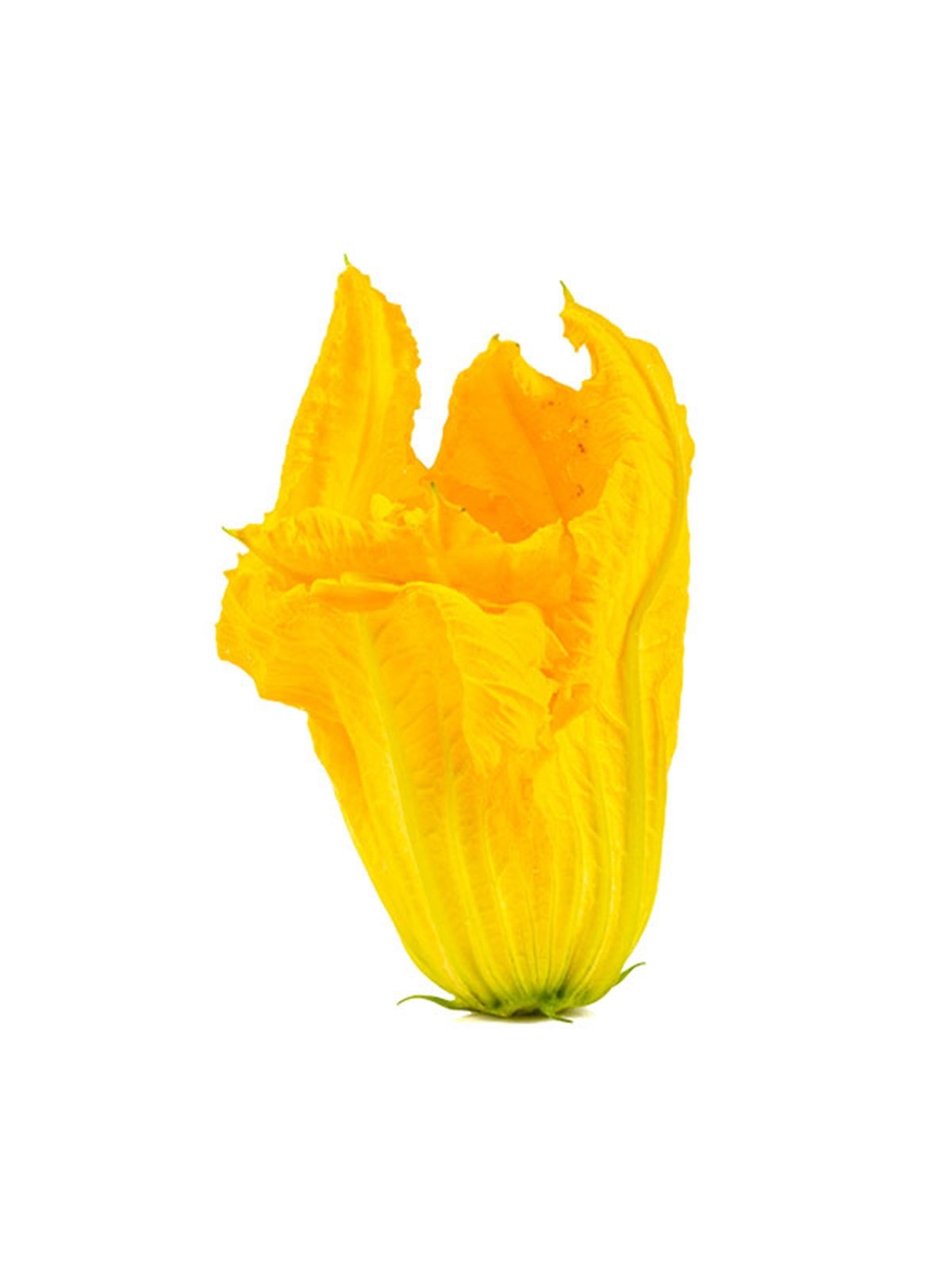 Kabak Çiçeği Satışı - Greenada Kabak Çiçeği Yenilebilir Çiçek