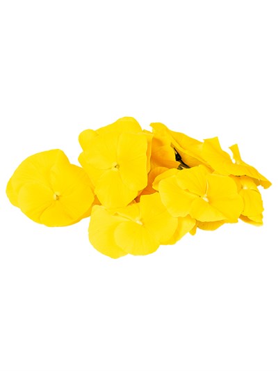 GreenadaMenekşe Sarı Paket
