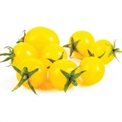 GreenadaSarı Çeri Domates 250 Gr