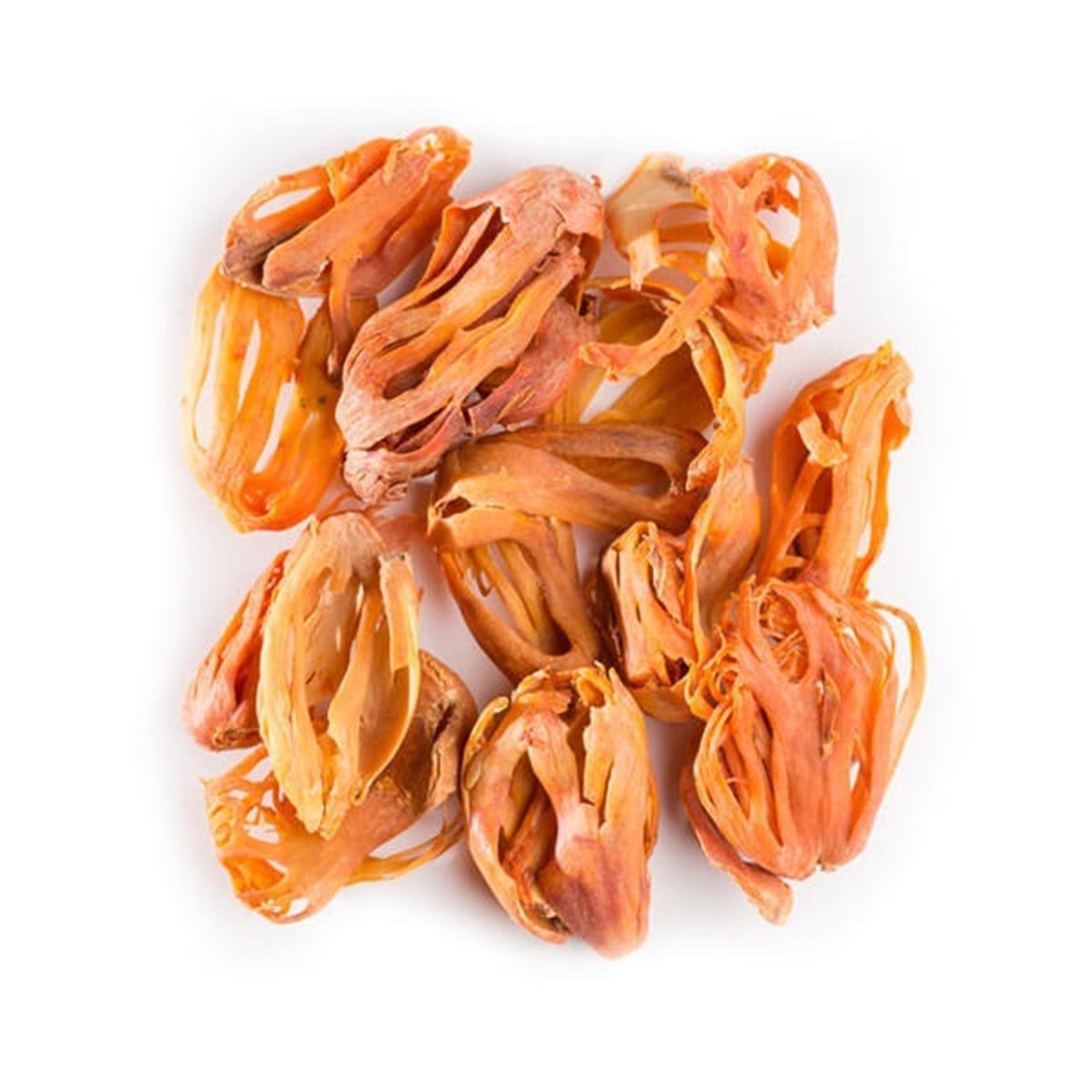 Besbase Bes Base (Macis)