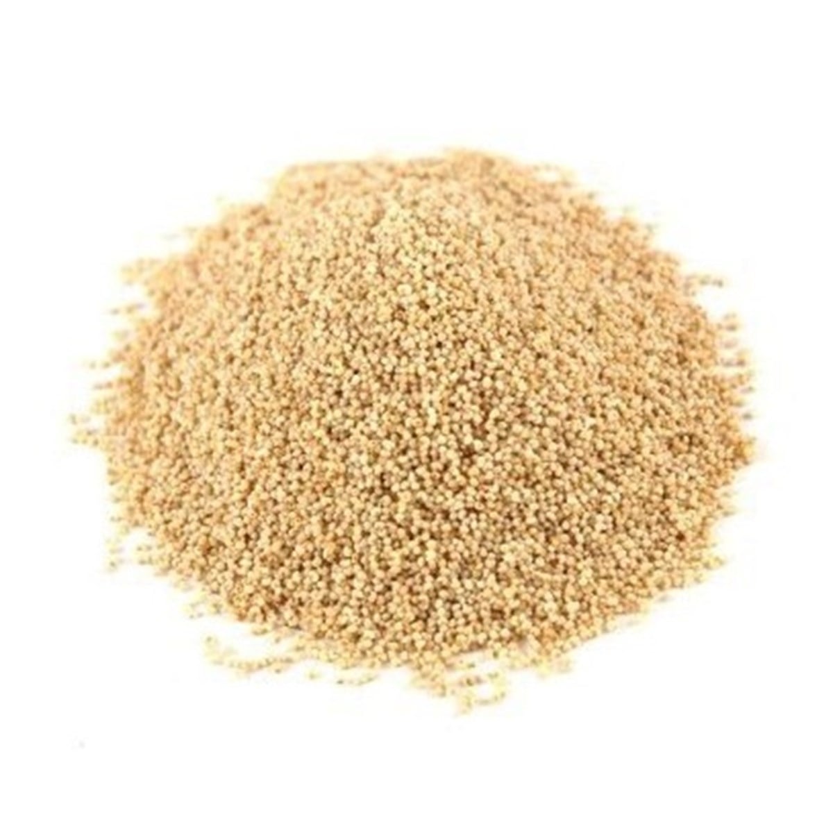 Beyaz Haşhaş Tohumu (White Poppy Seeds)