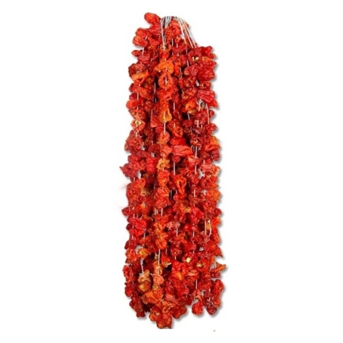 Doğal Kurutulmuş Dolmalık Tatlı Biber Antep 1 Bağ (50 Adet)