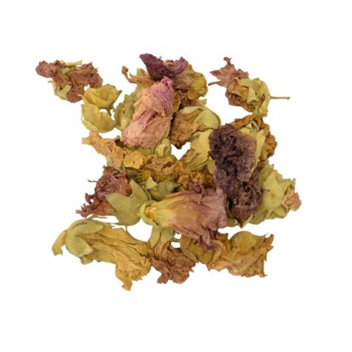 Hatmi Çiçeği Fatmagül Çiçeği Devegülü Gülhatmi (Mallow Blossom)
