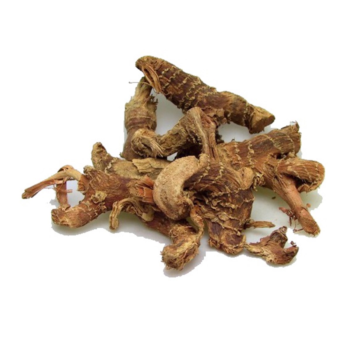 Havlıcan Kök (Galangal Root)