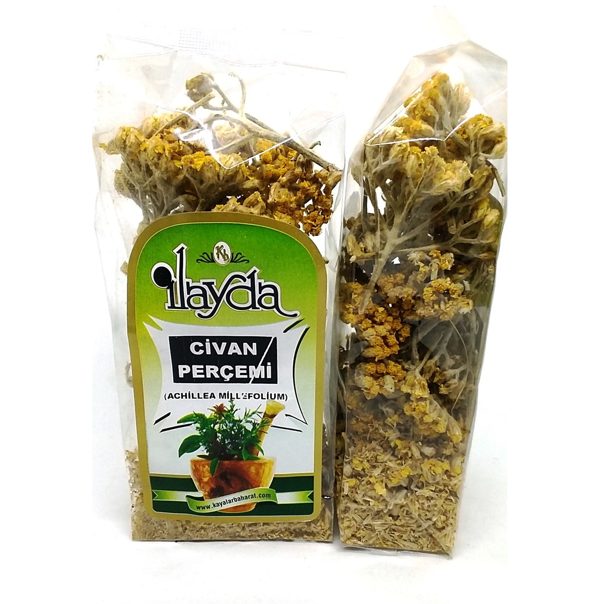 İlayda Civan Perçemi (Achillea Millefolium)