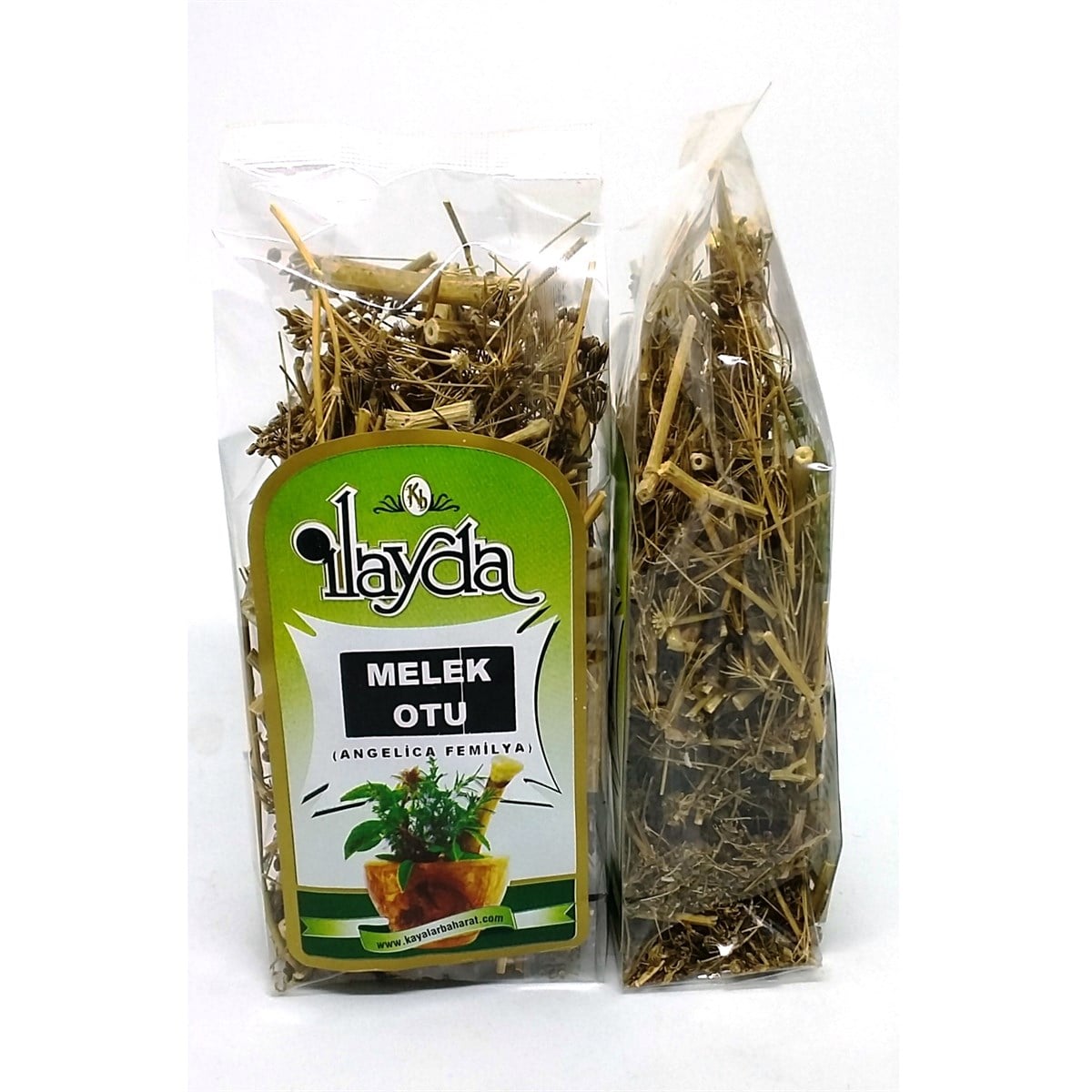 İlayda Melek Otu (Angelica Officinalis)