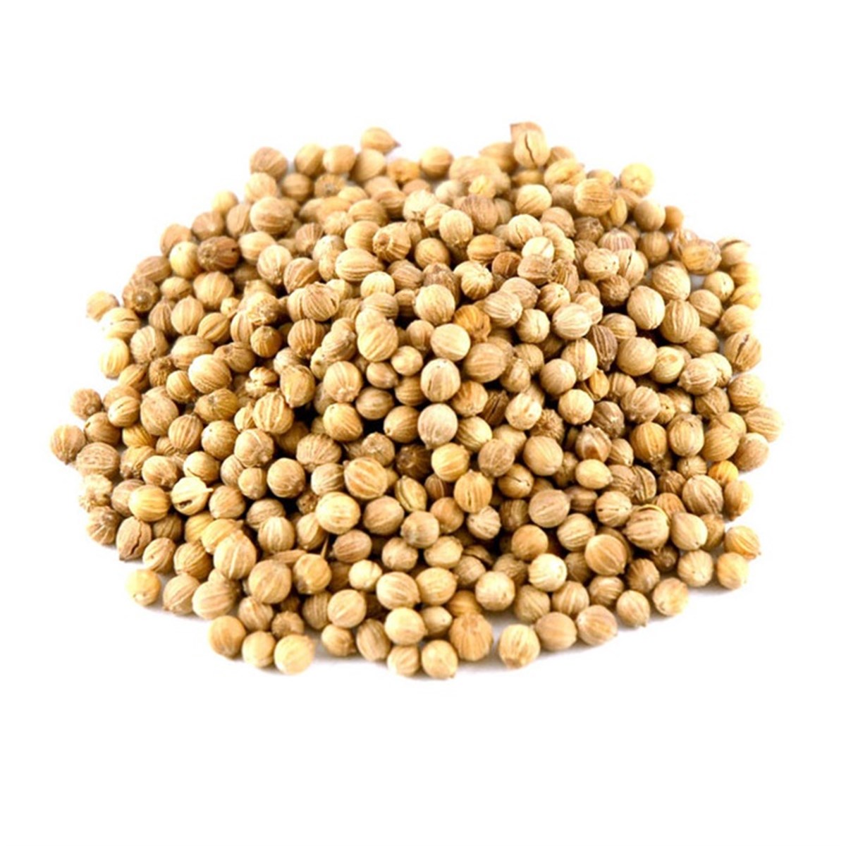 Kişniş Tohumu (Coriandrum Sativum Seeds)
