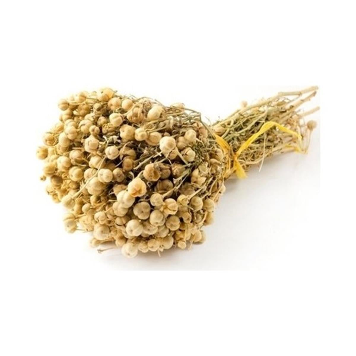 Nivalis Nival Keçiboynuzu Harnup Özü 800 gr