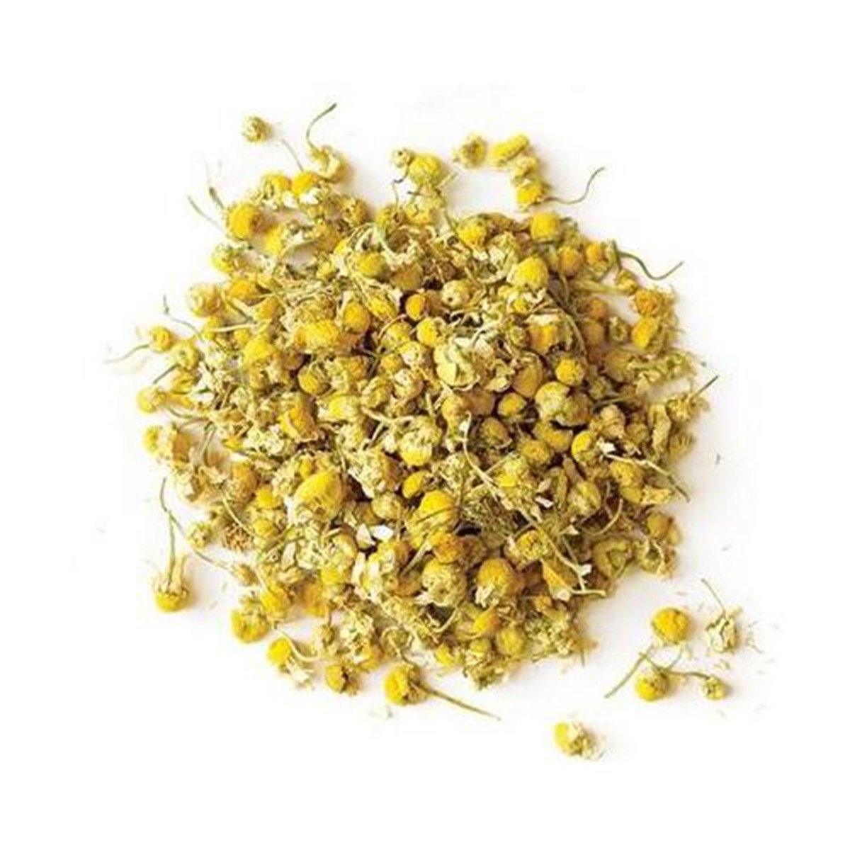Papatya Çiçeği Mayıs Papatyası Tıbbi Papatya Babunç (Chamomile)