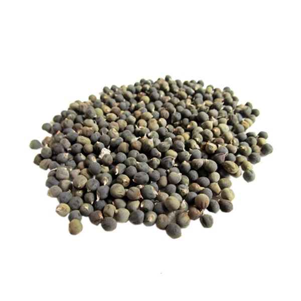 Bamya Tohumu (Okra Seeds) İlaçsız Yenilebilir 1. Sınıf Yeni Mahsül