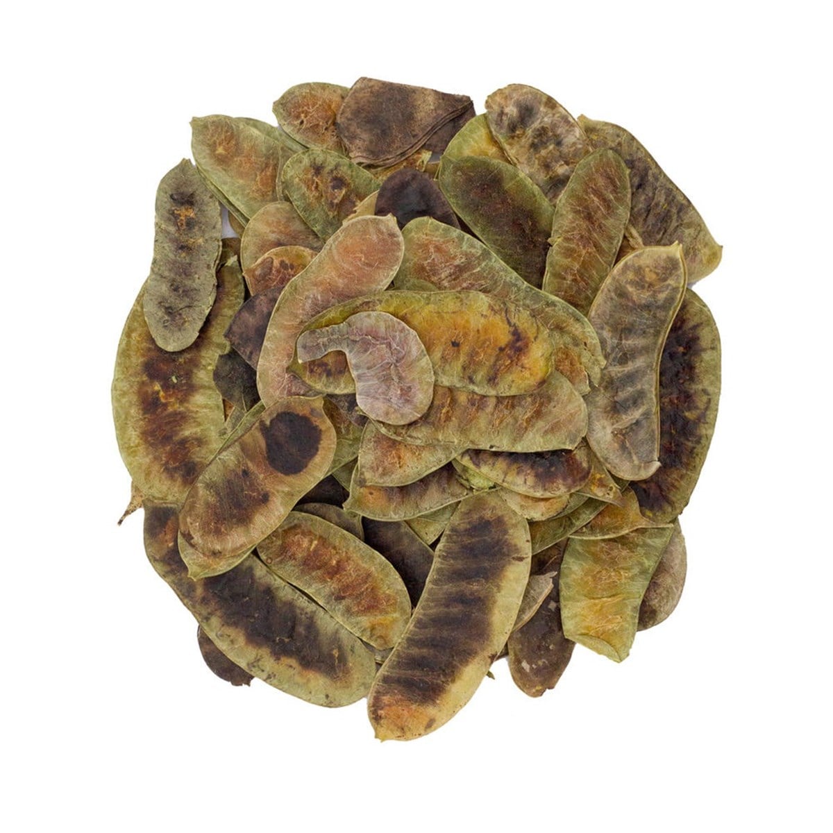 Açlık Otu (Senna Pods)