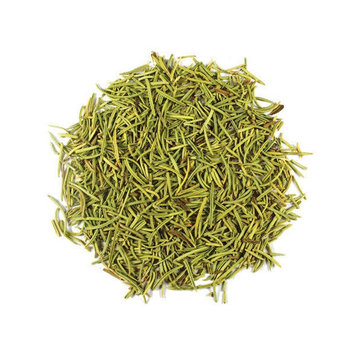 Biberiye, Kuş Dili, Beyazpüren, Rosmarin (Rosemary)