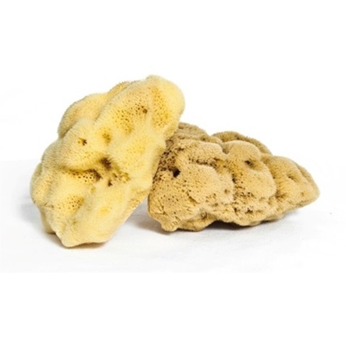 Doğal Deniz Süngeri (Banyo Süngeri) 35 gr