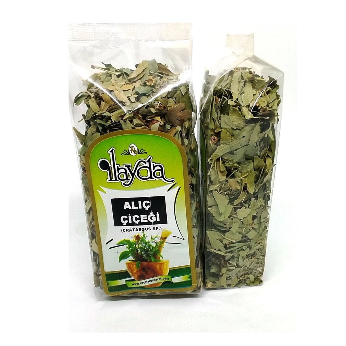 İlayda Alıç Çiçeği (Crataegus Sp.)