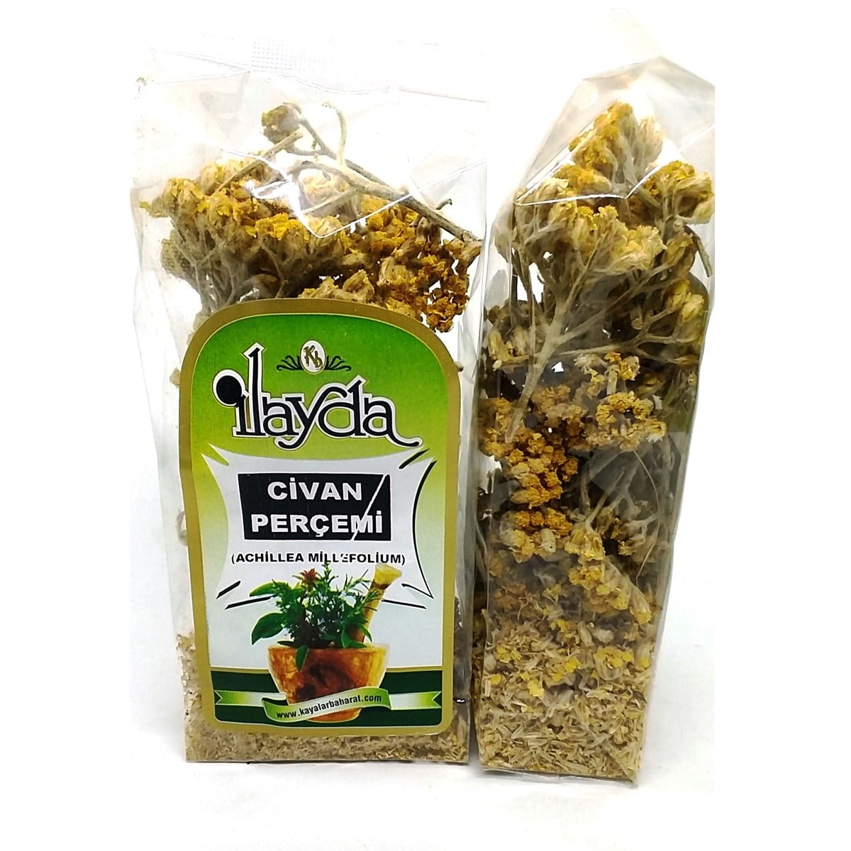 İlayda Civan Perçemi (Achillea Millefolium)