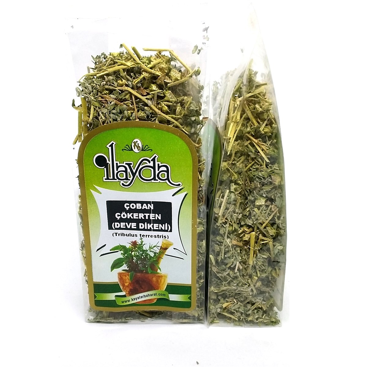 İlayda Çoban Çökerten (Tribulus Terrestris)