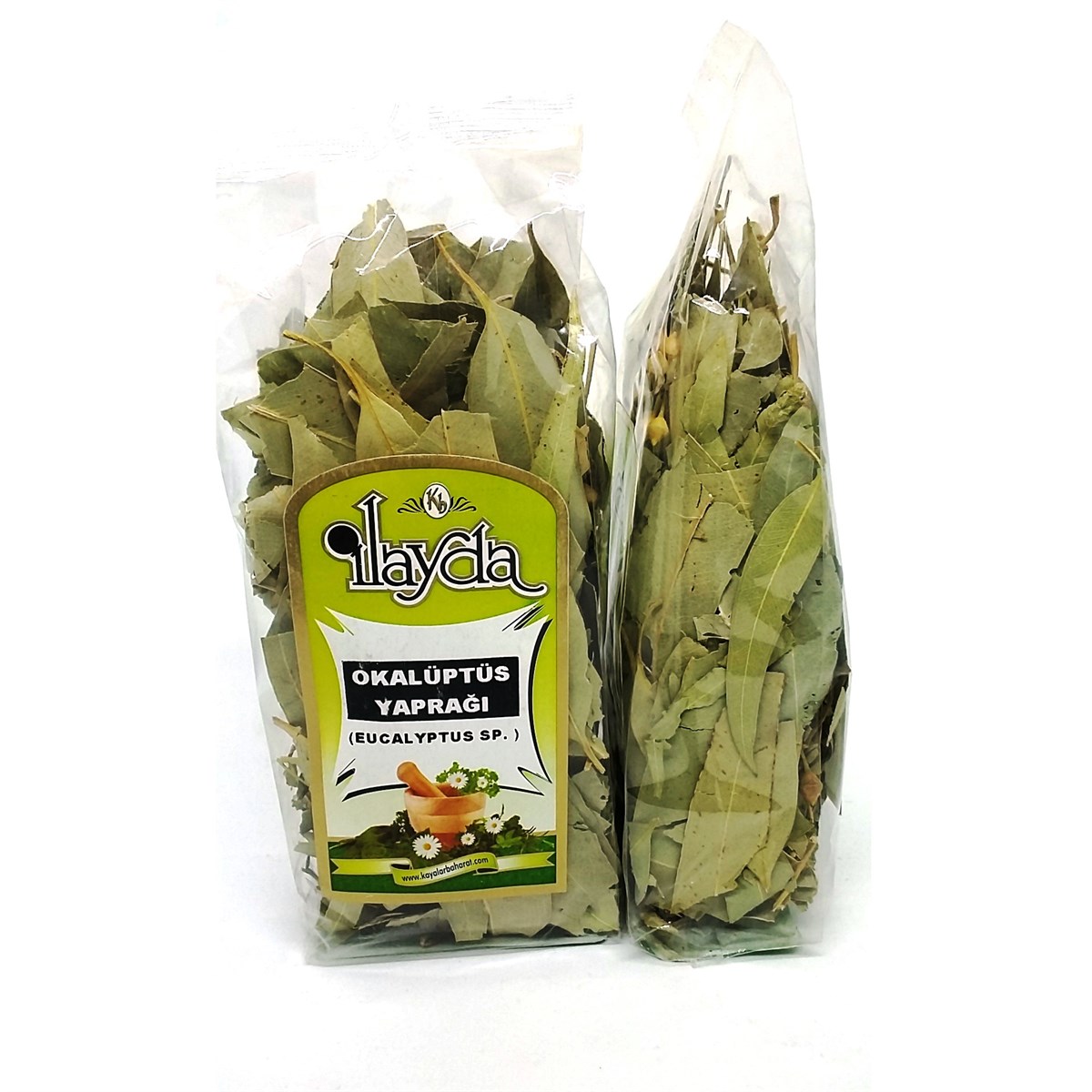 İlayda Okaliptüs Yaprağı (Eucalyptus)