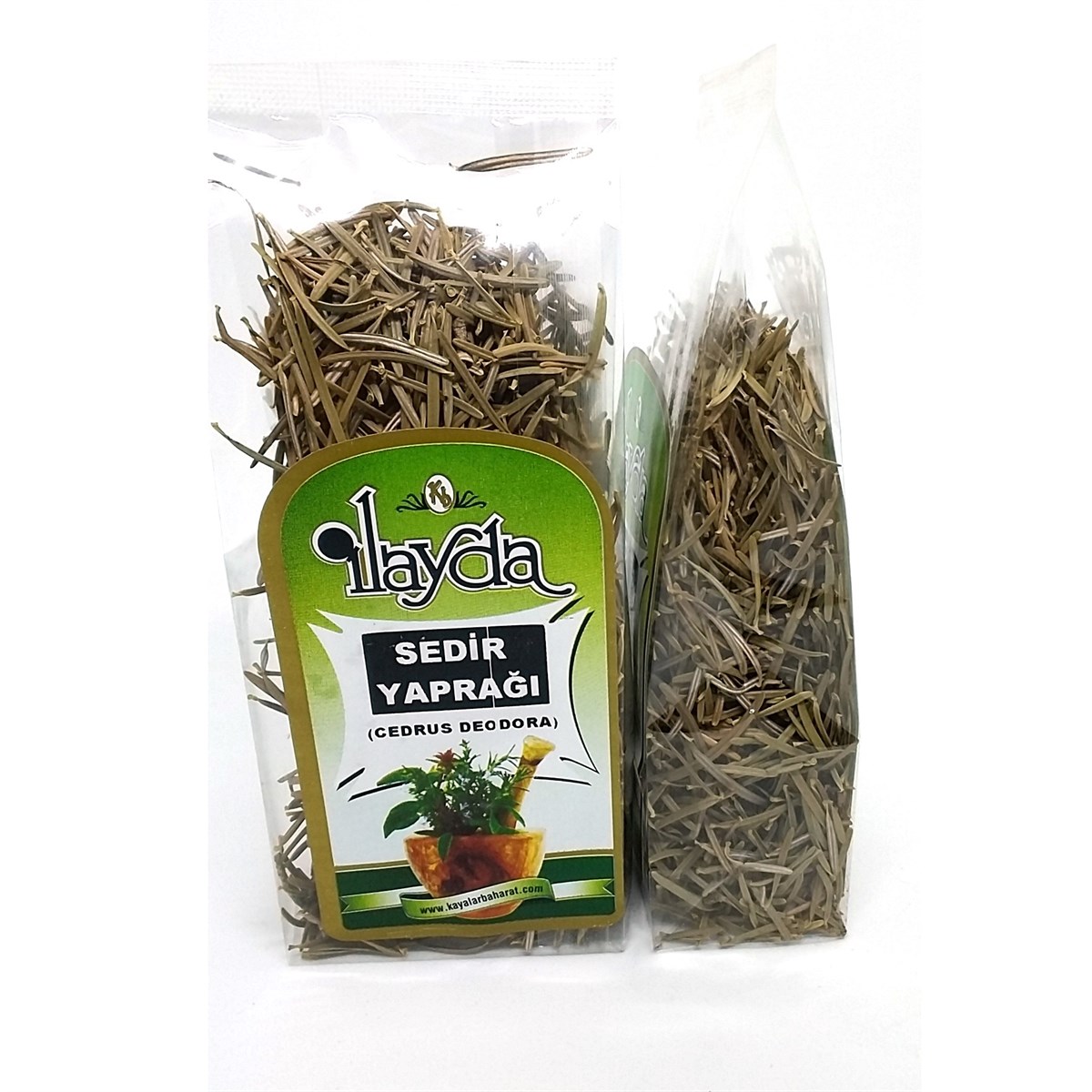 İlayda Sedir Yaprağı (Cedrus Deodora)