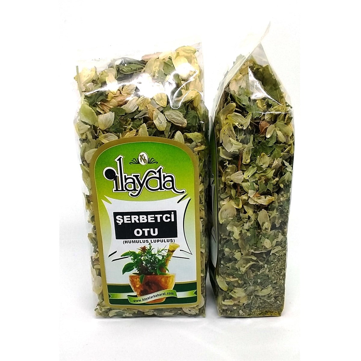 İlayda Şerbetçi Otu