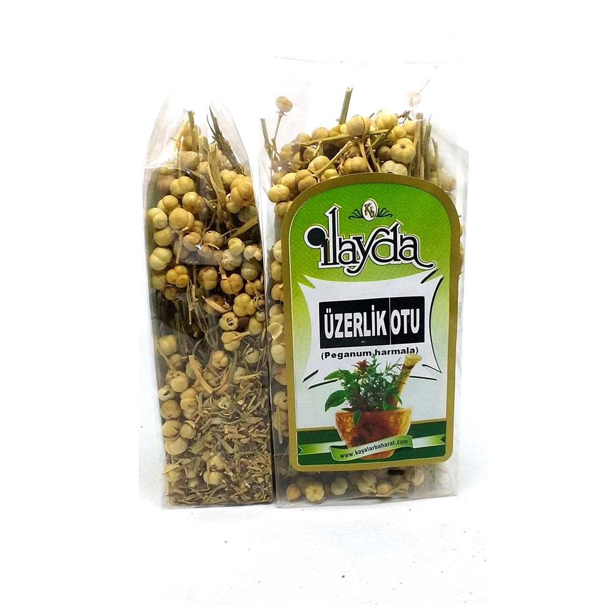 İlayda Üzerlik Otu (Peganum Harmala)