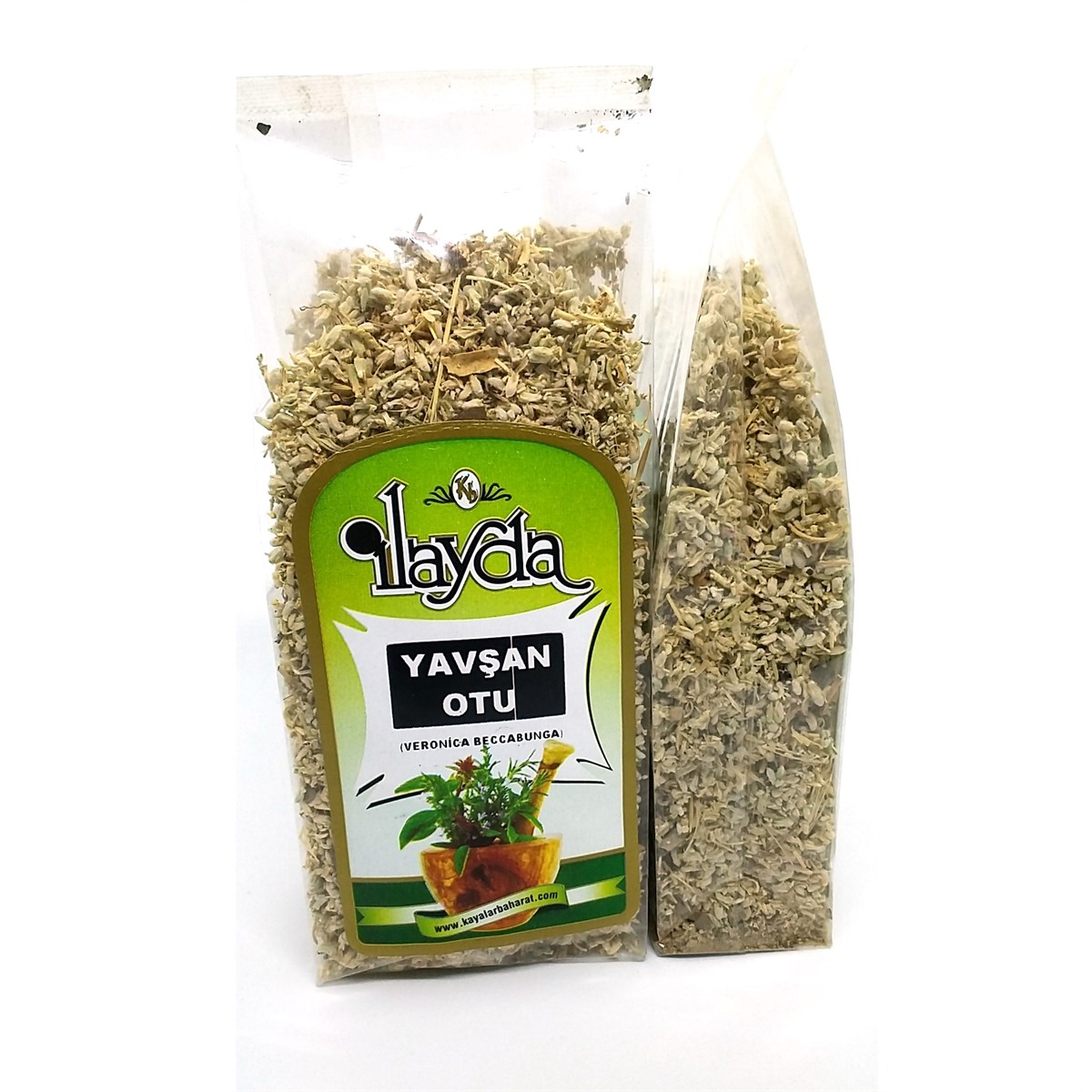 İlayda Yavşan Otu (Teucrium Polium)