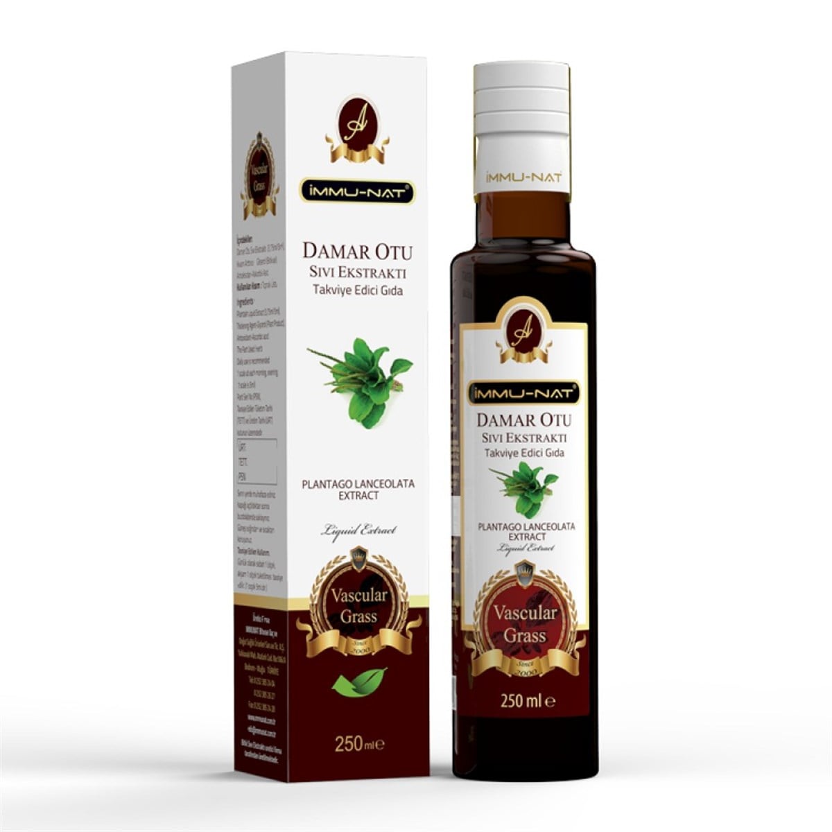 İmmunat Damar Otu Ektraktı 250 ml