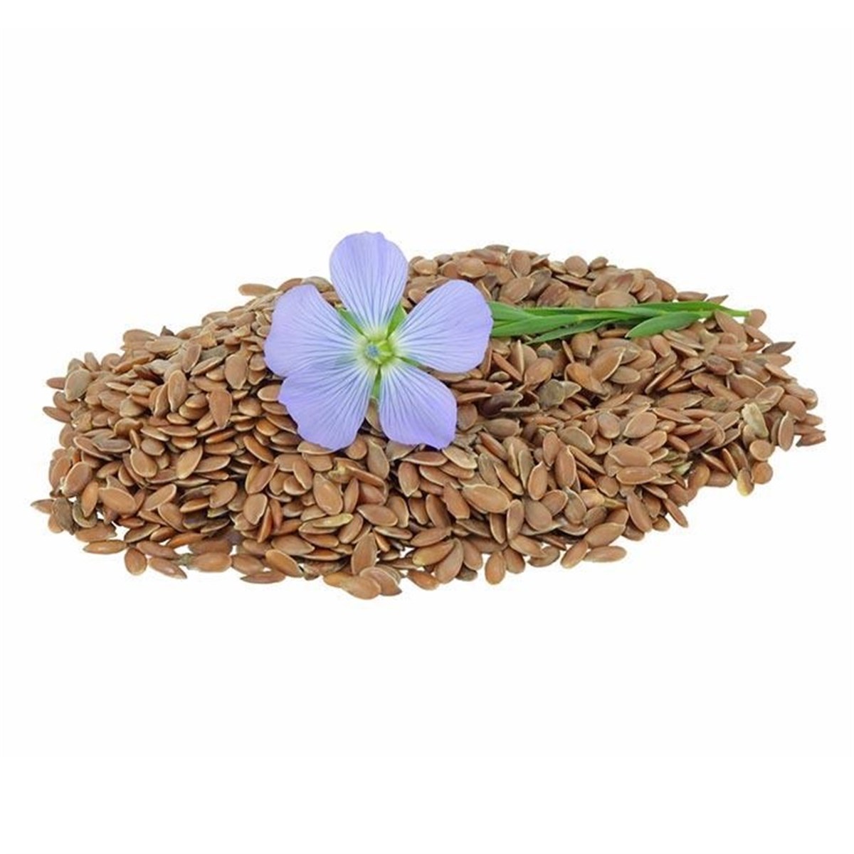 Keten Tohumu (Flax Seeds)