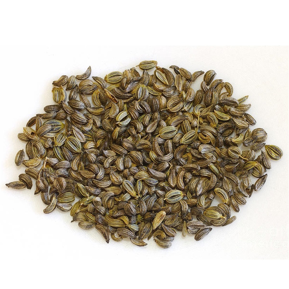 Maydanoz Tohumu (Parsley Seeds)
