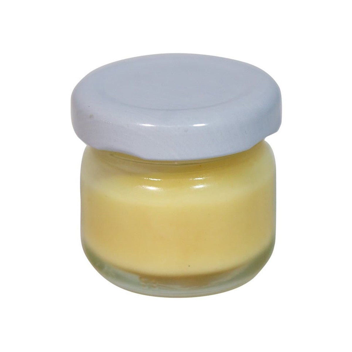 Saf Arı Sütü 25 gr