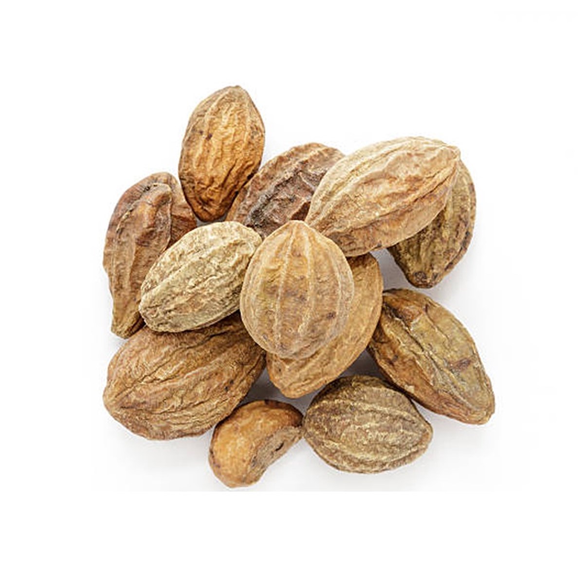 Sarı Halile (Yellow Terminalia Chebula)