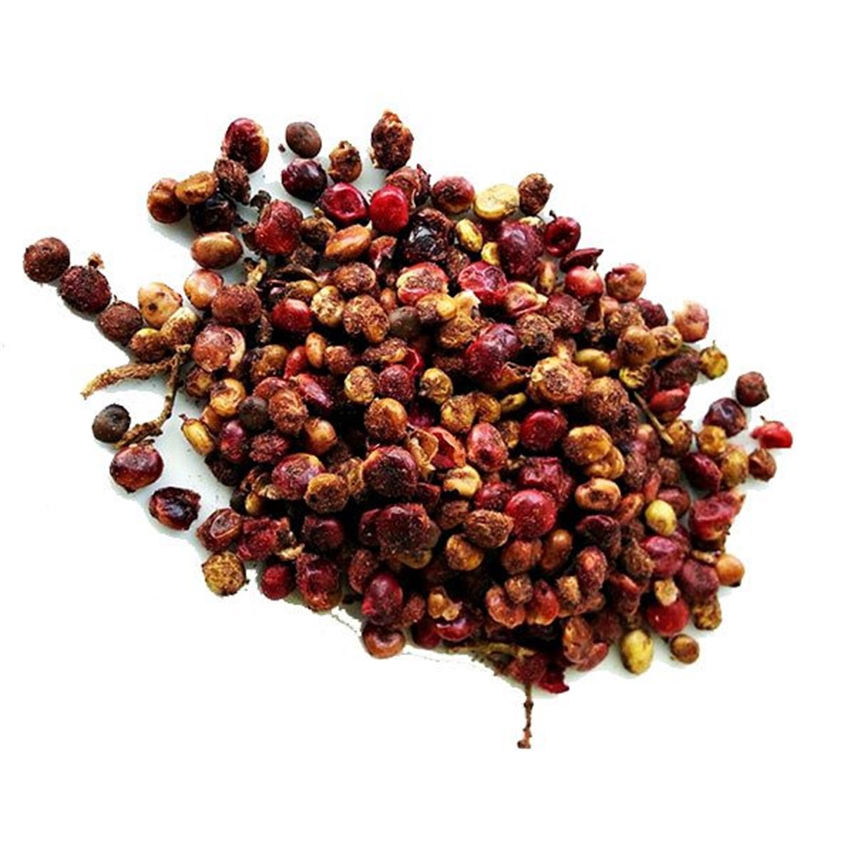 Tane Sumak Eşkisi (Sumac Berry)