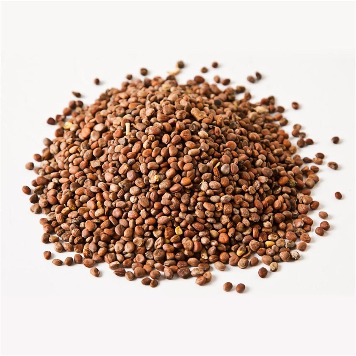 Turp Tohumu (Radish Seeds)