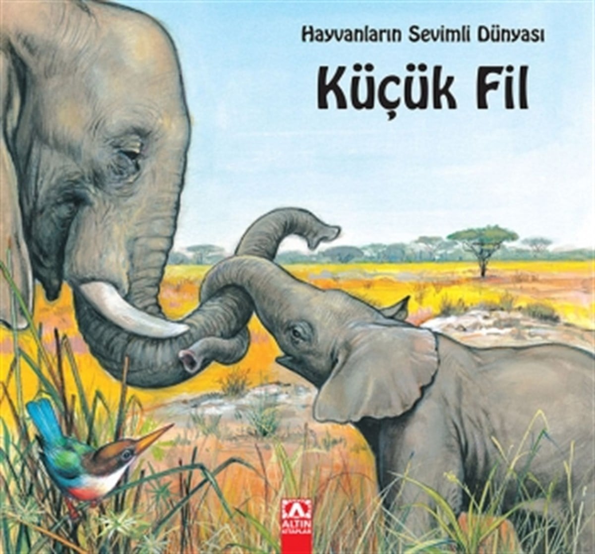 Altın Kitaplar hayvanların sevmli dünyası Küçük Fil