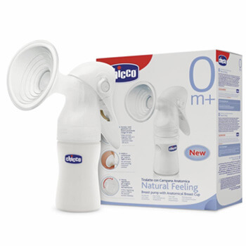 Anne Hamile
