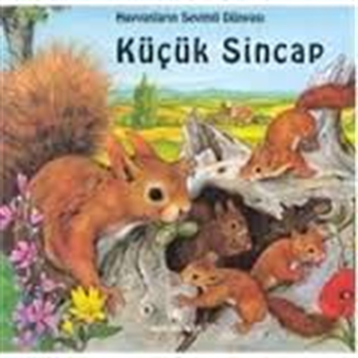 altın kitaplar hayvanların sevimli  dünyası küçük sincap